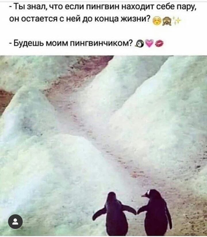  - 31  2019  19:50
