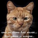  ,  -  7  2019    