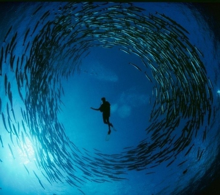  National Geographic   - 6