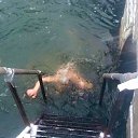 ���� Sergey, ������, 51 ��� - ��������� 1 ������ 2019