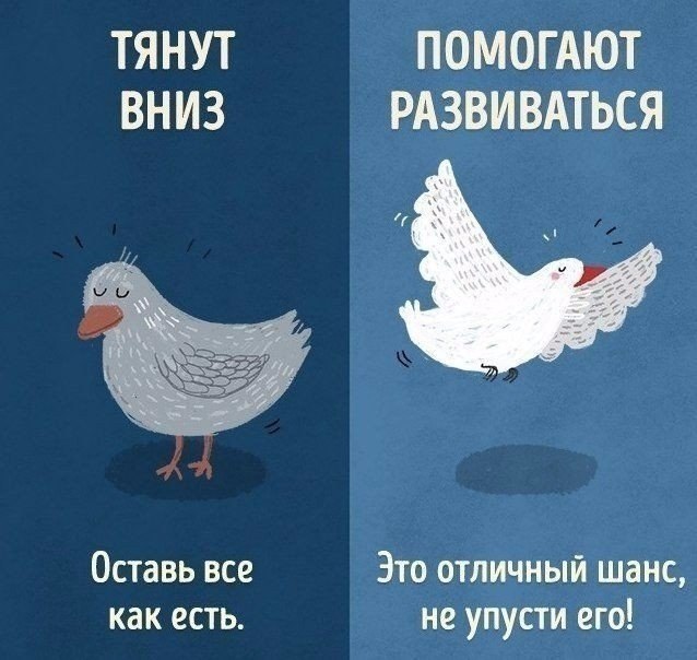   ,   ,      ... - 5