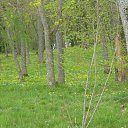 ���� ����, ����������� - ��������� 9 ���� 2019 � ������ ���� ����������