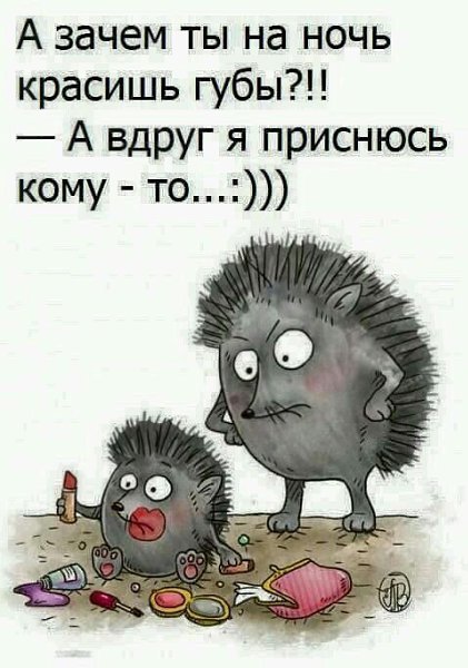  - 17  2019  19:24