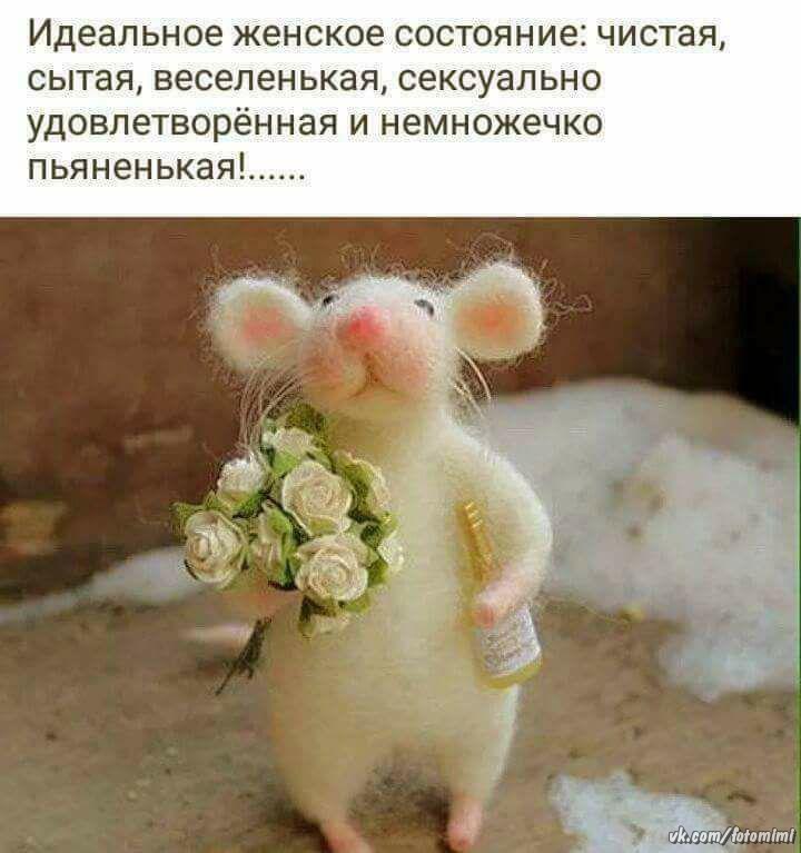  - 7  2019  08:09