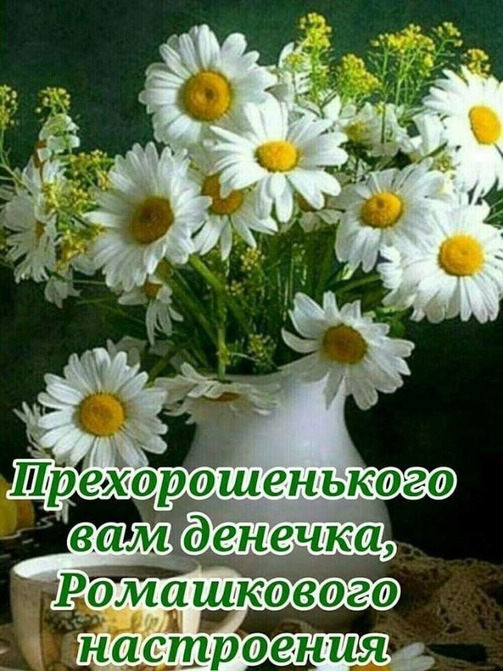  - 25  2019  18:11