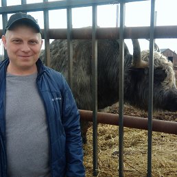 ���� ������, �������, 43 ���� - ��������� 3 ������ 2020