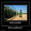 ���� C���, ���������, 56 ��� - ��������� 24 ������ 2019 � ������ ������ ��������