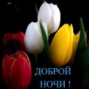 ���� ������, ������, 36 ��� - ��������� 23 �������� 2019