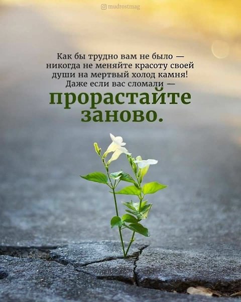  - 20  2019  06:15