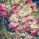  Kseniya, , 55  -  4  2019    