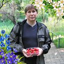 ���� ���������, ������, 64 ���� - ��������� 18 ������� 2019 � ������ ���� ����������