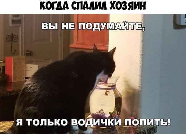    :D - 22  2019  03:42