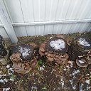���� �������, ������, 52 ���� - ��������� 13 ������� 2019 � ������ ���� ����������