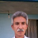  Shahin, , 57  -  8  2019    