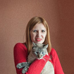 ���� ������� ������, �������, 42 ���� - ��������� 28 ��� 2019