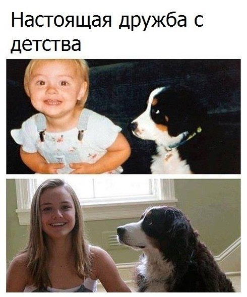   - 6  2019  03:49