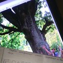 ���� ��������, ����, 43 ���� - ��������� 3 ���� 2019 � ������ �������������������