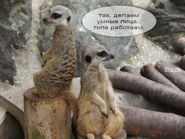 ***Victoria Viktorovna*** - 12  2019  07:17