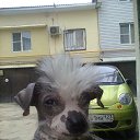  Mikhail, , 52  -  26  2019