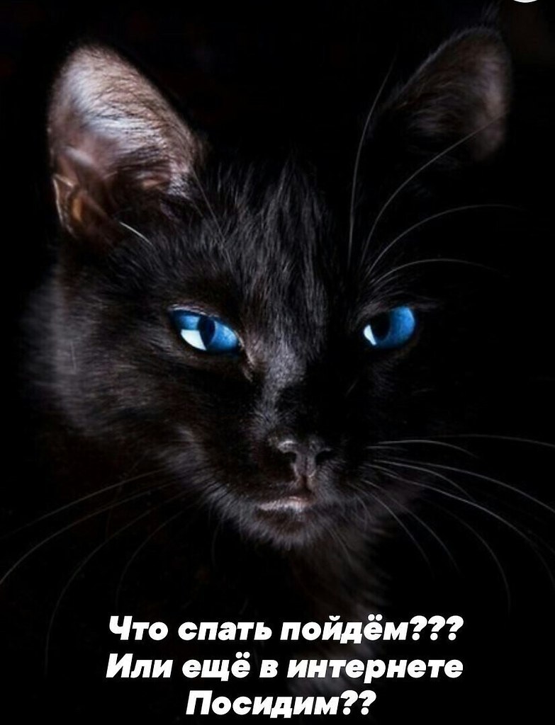   ,    . - 6  2019  21:52