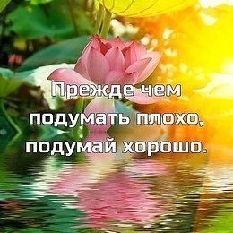   - 6  2019  15:02