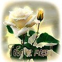 ���� �������, �����������, 50 ��� - ��������� 4 ������� 2019 � ������ �������