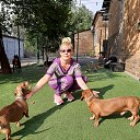 ���� ����, ������-��-����, 54 ���� - ��������� 15 ������� 2019 � ������ ���������� ������