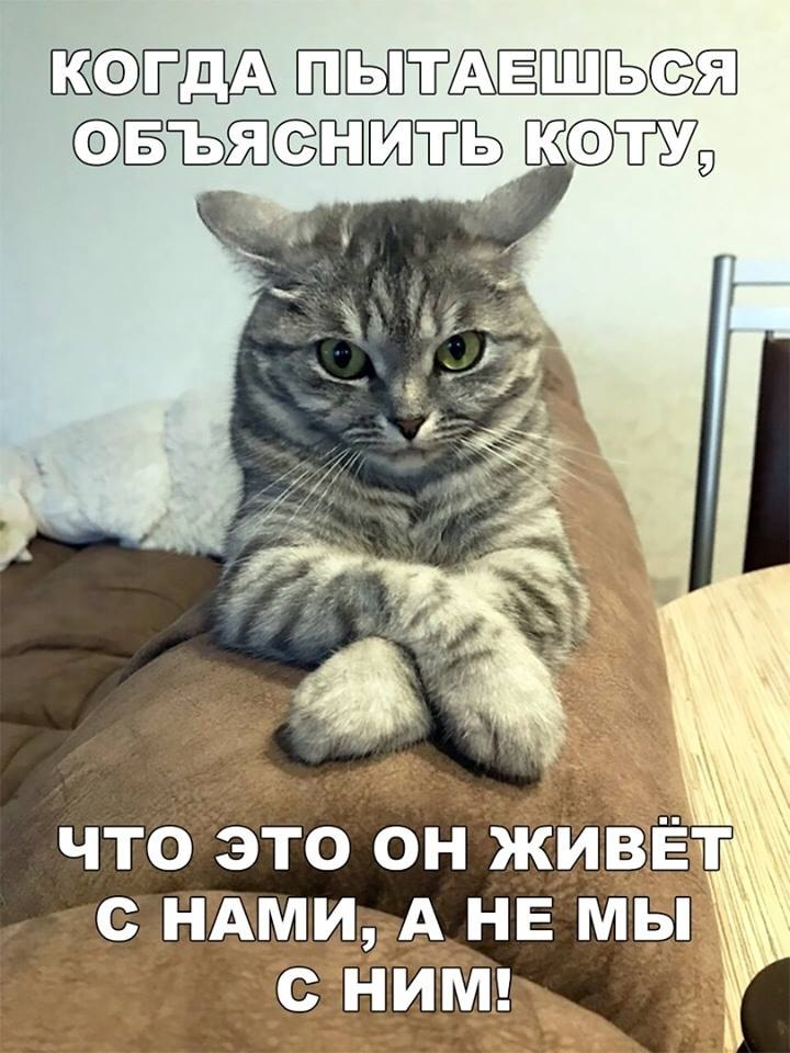  - 24  2019  03:47