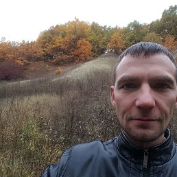 ����, �����, 43 ����