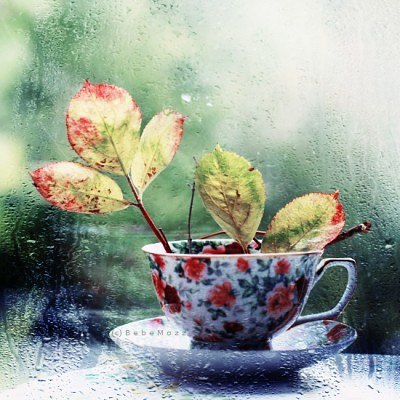 ����� ������� ��� ������� � ����... ����� �� ����� ����������� �����,..�������� ��������� ������ ... - 2