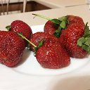 ���� Rosa, ��� - ��������� 18 ��� 2019 � ������ ������ ����