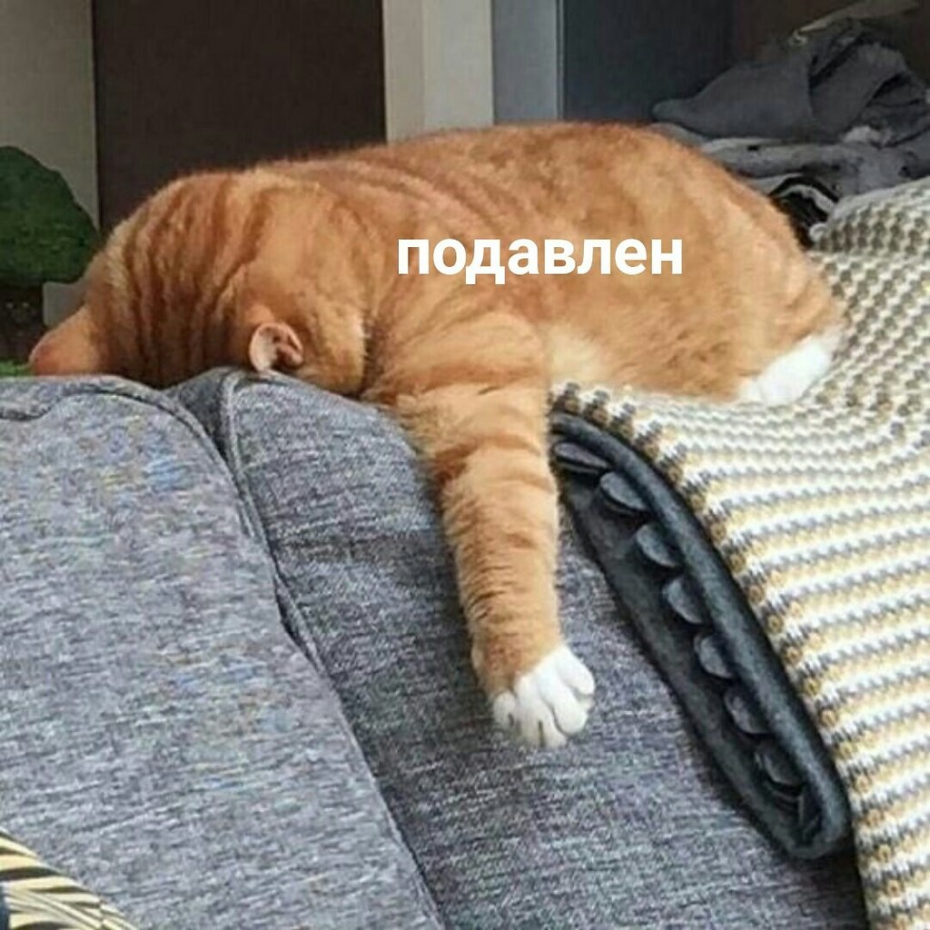       : - 4