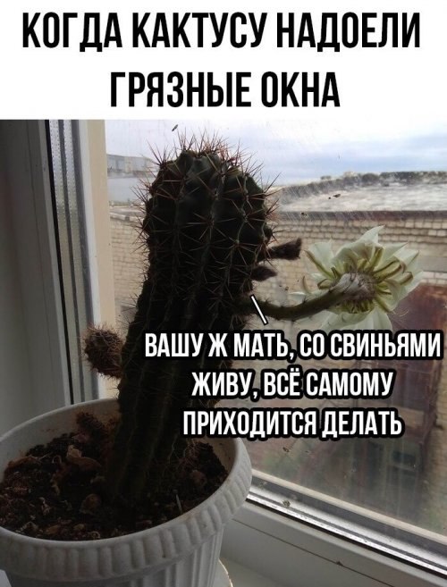  - 22  2019  18:25