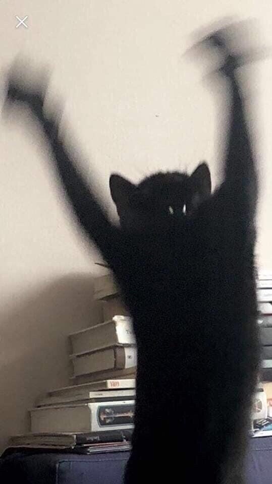 oo o - 4