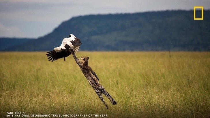  National Geographic   - 9