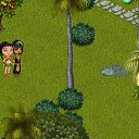  ,  -  12  2019   Tropikania