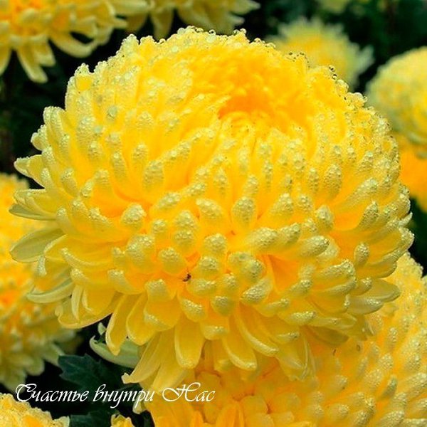 ������ - 6 �������� 2019 � 00:39