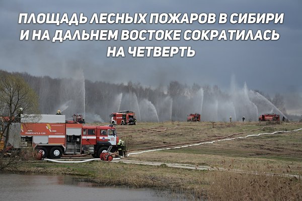 За неделю усилиями спасателей и Минобороны удалось ликвидировать природные пожары на территории ...