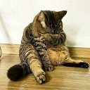  Saturn,  -  21  2019    