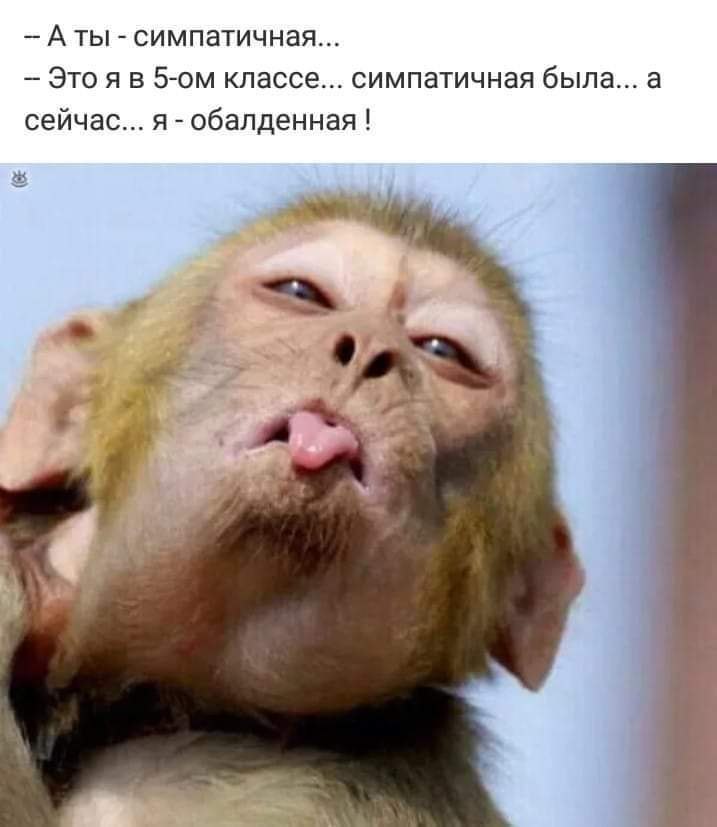  - 11  2019  12:59