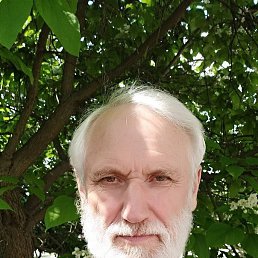 ���� ������, ����, 78 ��� - ��������� 10 ���� 2019