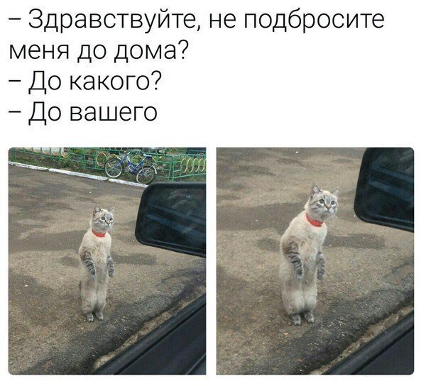    - 17  2019  03:59