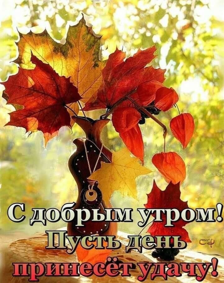 ***Victoria Viktorovna*** - 20  2019  07:47