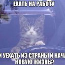 ���� ������, �����-���������, 54 ���� - ��������� 12 ������� 2019 � ������ ������ ��������
