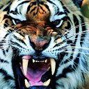 ���� 40rus, ������, 49 ��� - ��������� 23 ���� 2019