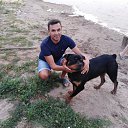 ���� 2019.�����. �� ������� ���� ����������