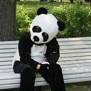 ���� Boy Panda, ��������� - ��������� 2 ������� 2019