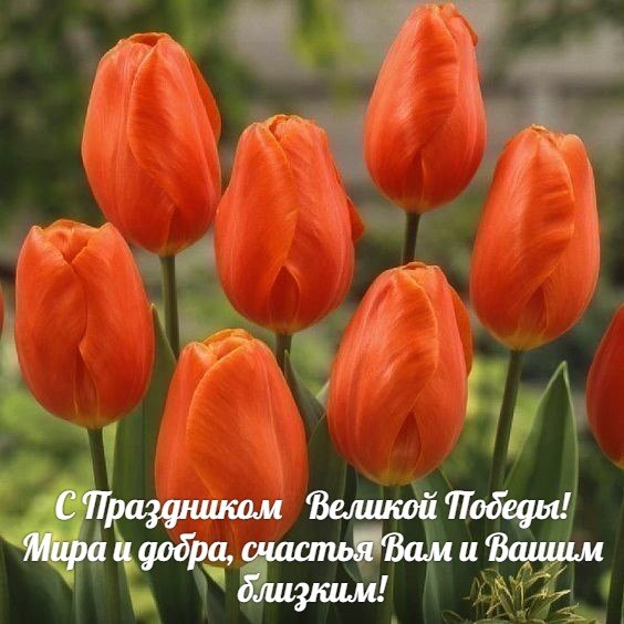   ,    . - 9  2019  16:37