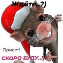 ���� �����, �����������, 54 ���� - ��������� 30 ������� 2019 � ������ ���� ����������