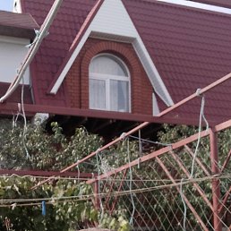 ���� ������, �����, 47 ��� - ��������� 13 ������� 2019